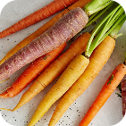 Multi Colored Carrots