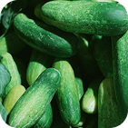 Cucumbers
