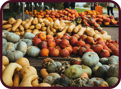 Variety of vegetables